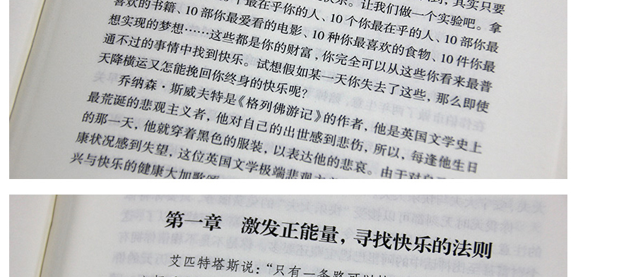 正能量 弘丰编著 幸福掌握在自己手里 而有关情绪 信念的秘密就藏在书里 排除负面情绪 坚持正能量