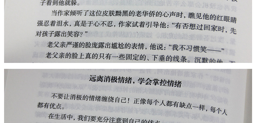 正能量 弘丰编著 幸福掌握在自己手里 而有关情绪 信念的秘密就藏在书里 排除负面情绪 坚持正能量