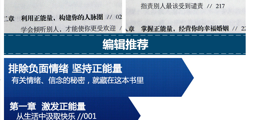 正能量 弘丰编著 幸福掌握在自己手里 而有关情绪 信念的秘密就藏在书里 排除负面情绪 坚持正能量