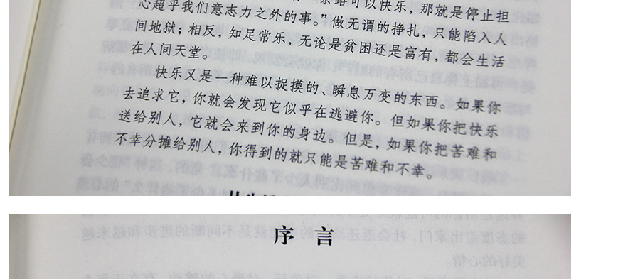 正能量 弘丰编著 幸福掌握在自己手里 而有关情绪 信念的秘密就藏在书里 排除负面情绪 坚持正能量