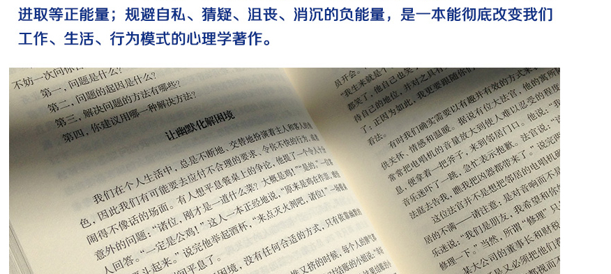 正能量 弘丰编著 幸福掌握在自己手里 而有关情绪 信念的秘密就藏在书里 排除负面情绪 坚持正能量