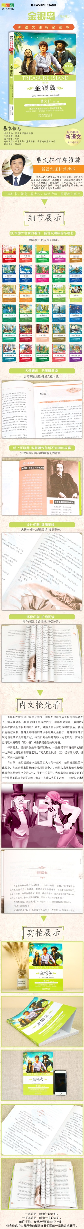 金银岛青少版名师精讲新语文课外*读书无障碍阅读曹文轩作序推荐儿童文学一本所有男孩子都应该读一读的冒险小说世界经典作品之一