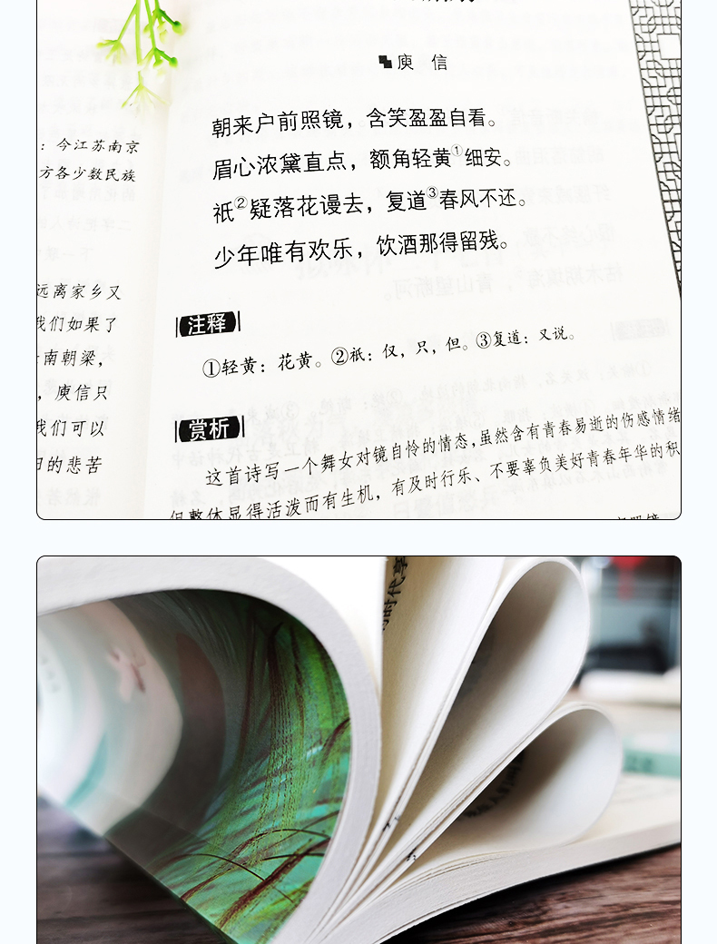 正版全8册朗诵者随笔诗歌经典作品 外国诗歌文学唐诗宋词美丽国学经典再别康桥 小学生课外阅读儿童文学读物小初中生课外阅读书籍