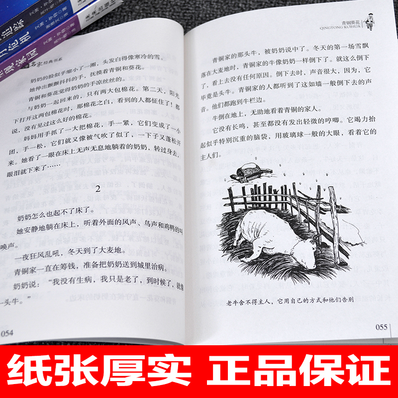 青铜葵花正版曹文轩的书完整版北京教育出版社小学生四五六年级课外书必读下册老师推荐江苏少儿阅读的畅销儿童文学故事书9-12岁