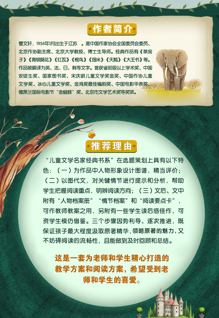 四年级必读经典书目全套4册 青铜葵花 小英雄雨来 宝葫芦的秘密张天翼和曹文轩管桦老师推荐小学生课外阅读书籍正版下册原著完整版