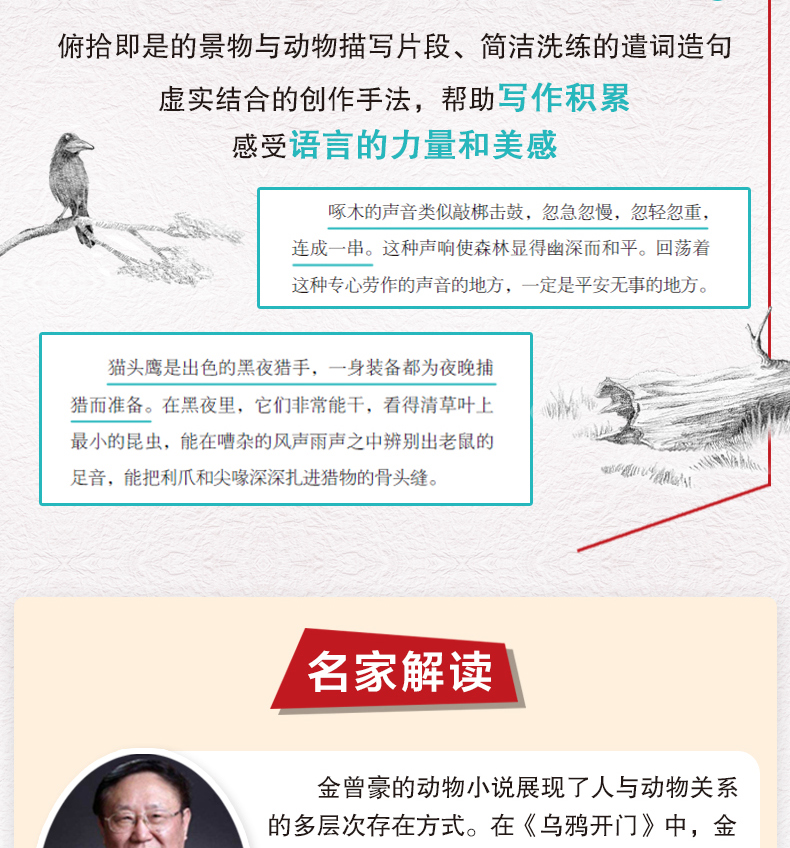 乌鸦开门金曾豪著现实的动物世界和奇幻的少年之旅相结合的长篇小说著名动物小说作家金曾豪的原创力作8-14岁儿童文学书籍动物小说