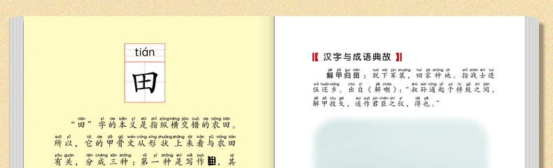 汉字王国的故事第二辑全4册正版儿童注音读物3-6-9岁儿童汉字语言启蒙认知故事书一二年级成语故事汉字解析课外书籍彩图注音版童书