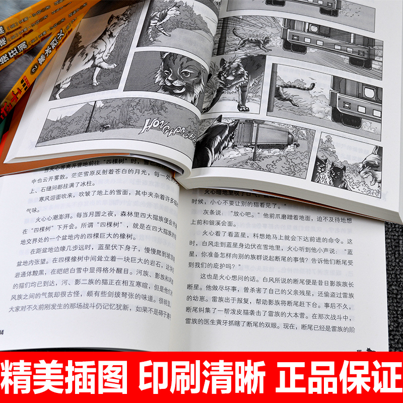 6册首部猫武士一部曲中小学生课外书8-12岁三年级课外必读四五年级阅读儿童书籍10-15岁畅销书儿童励志书籍套装读物少儿图书正版