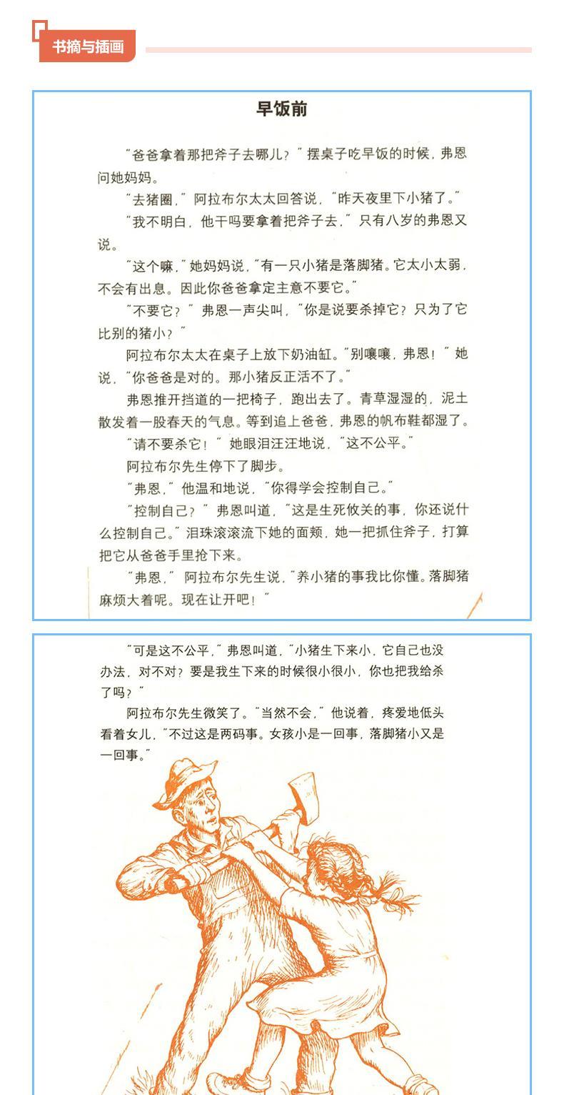 6本三年级课外书必读经典书目夏洛的网上海译文出版社帽子的秘密小灵通漫游未来完整版写给童年的诗柔软的阳光团圆躲猫猫大王绘本