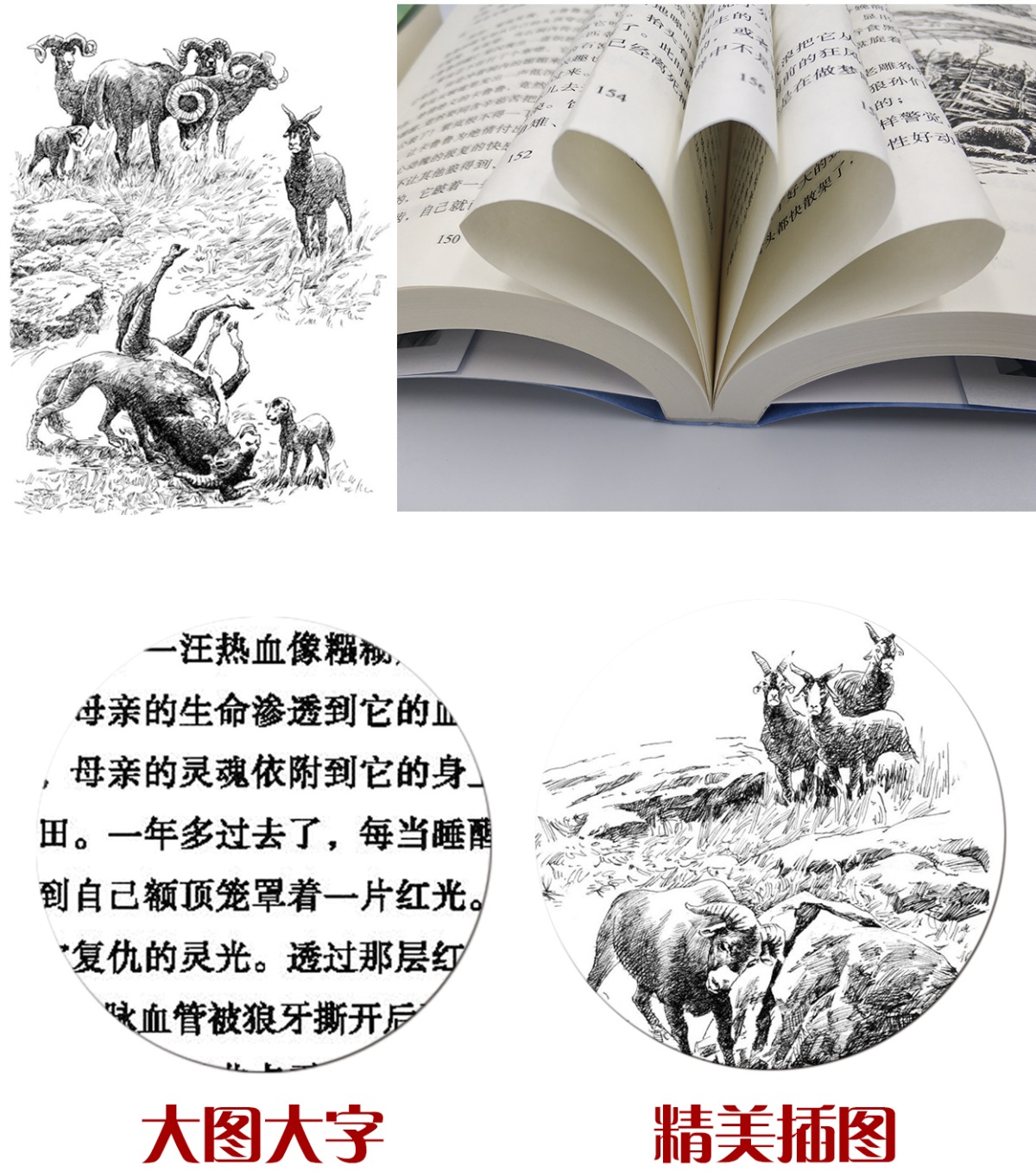 7册狼王梦全集沈石溪经典动物小说狼王梦漫画版全本全集7-14岁经典名著必读小学生四五六年级课外阅读书籍必读老师推荐适合4-6年级
