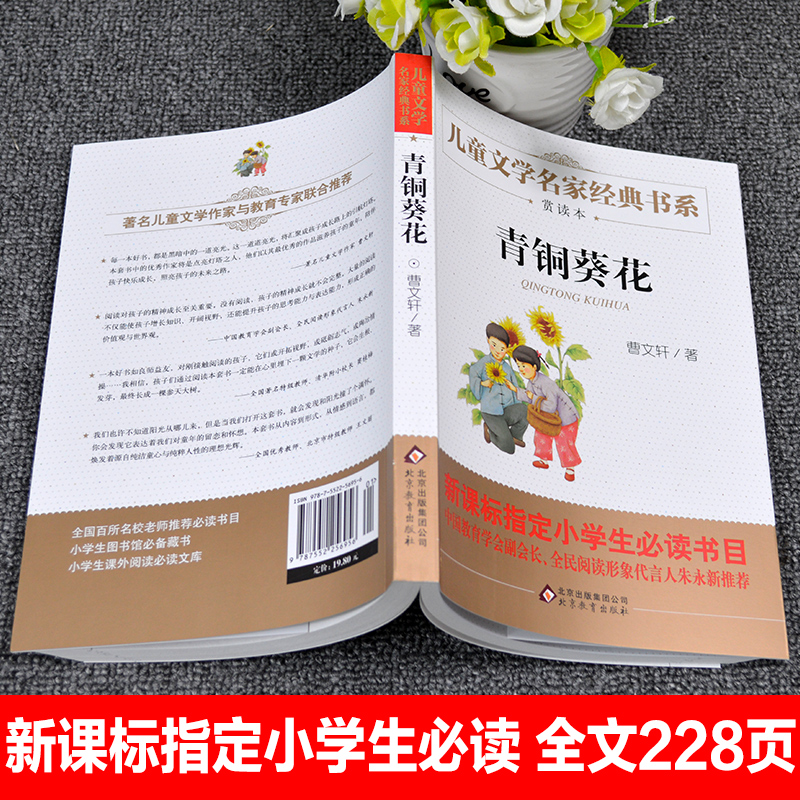 青铜葵花正版曹文轩的书完整版北京教育出版社小学生四五六年级课外书必读下册老师推荐江苏少儿阅读的畅销儿童文学故事书9-12岁