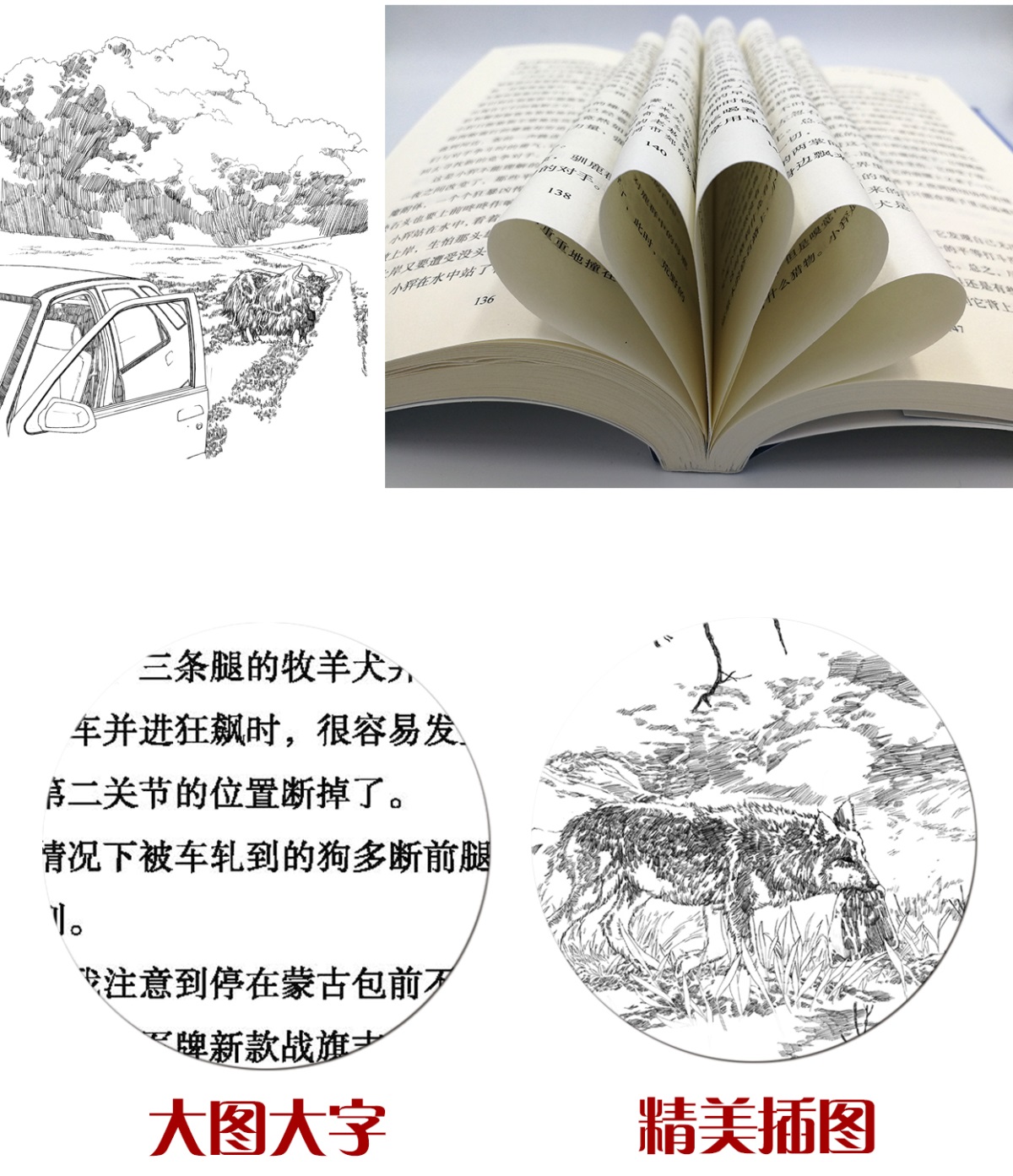 黑鹤风之子百年百部中国儿童文学经典书系6-12周岁青少年儿童文学故事书籍老师推荐三年级四五六年级中小学生课外阅读书籍畅销童书