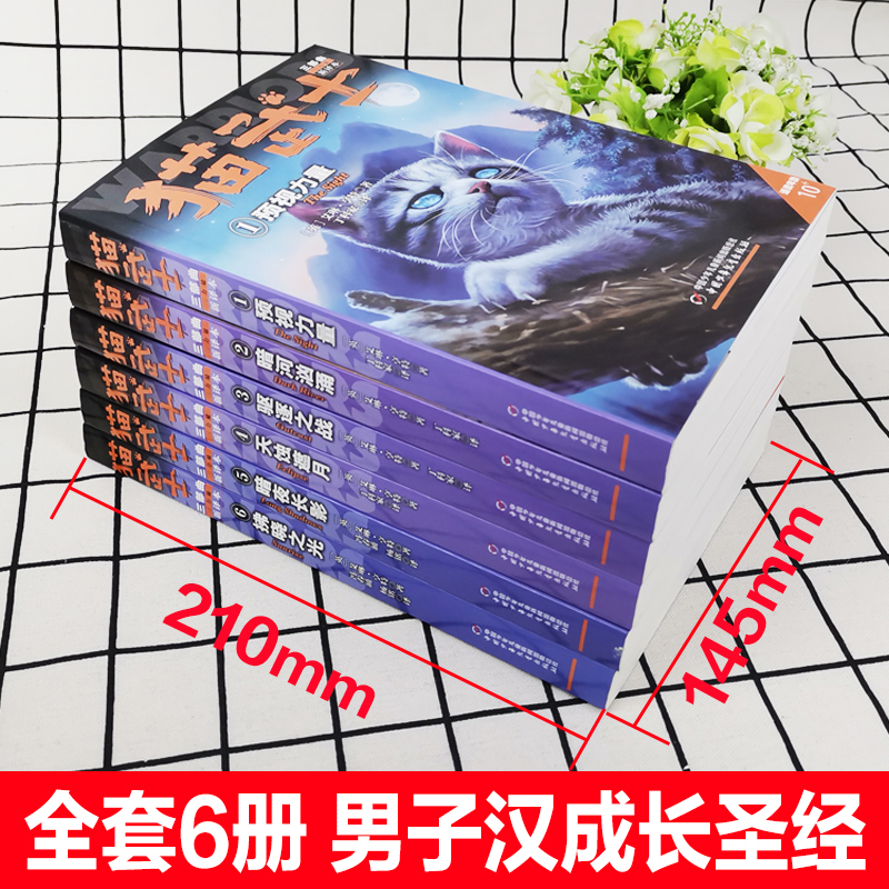 全6册猫武士三部曲三力量新译本预视的力量暗夜长影中小学生课外书8-12岁三年级课外必读四五年级阅读儿童书10-15岁儿童励志书套装