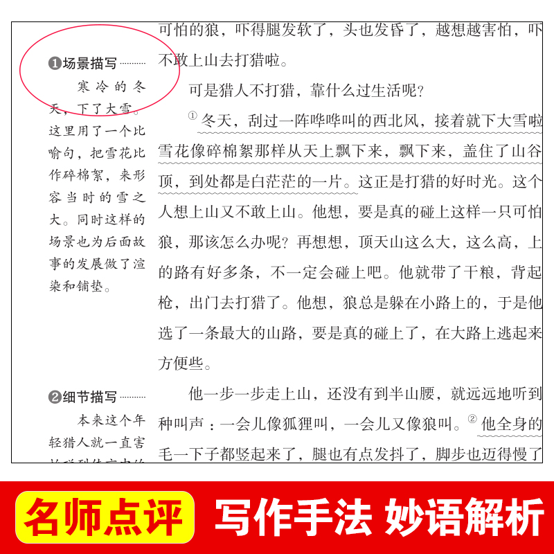 正版包邮狐狸打猎人儿童书小学生课外阅读书籍4-6年级必读三年级课外书四五六年级儿童文学书籍6-9-12周岁-15岁名著畅销