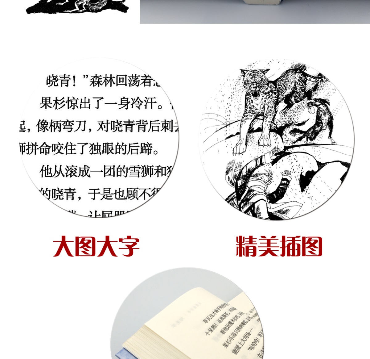 大熊猫传奇百年百部中国儿童文学经典书系6-12周岁青少年儿童文学故事书籍老师推荐三年级四五六年级中小学生课外阅读书籍畅销童书