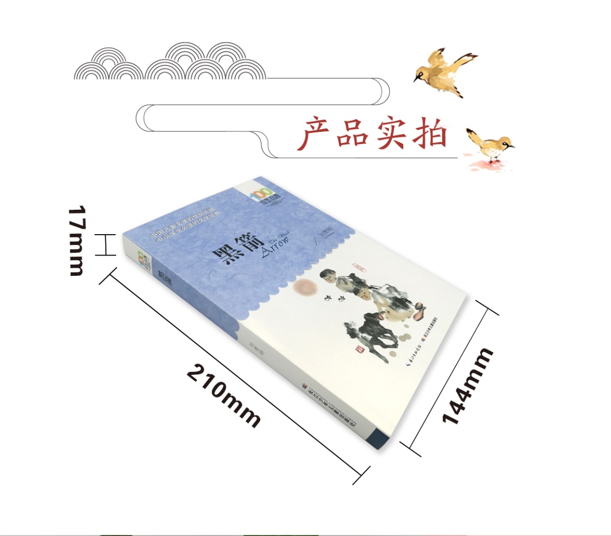黑箭书正版百年百部中国儿童文学经典书系6-12周岁青少年儿童文学故事书籍老师推荐三年级四五六年级中小学生课外阅读书籍畅销童书