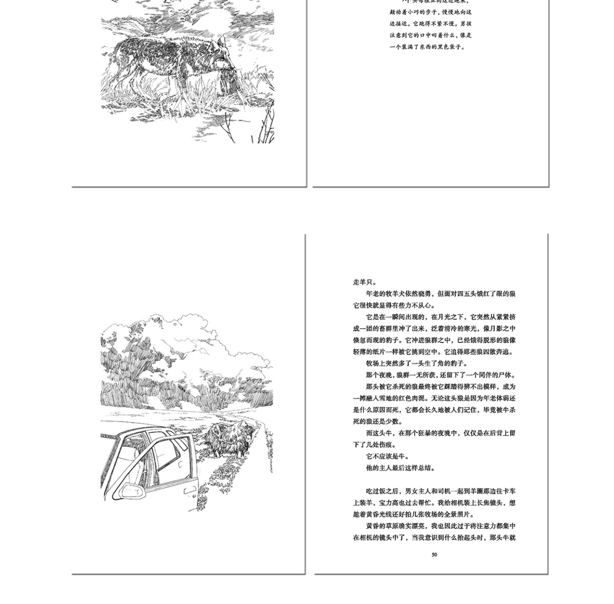 黑鹤风之子百年百部中国儿童文学经典书系6-12周岁青少年儿童文学故事书籍老师推荐三年级四五六年级中小学生课外阅读书籍畅销童书