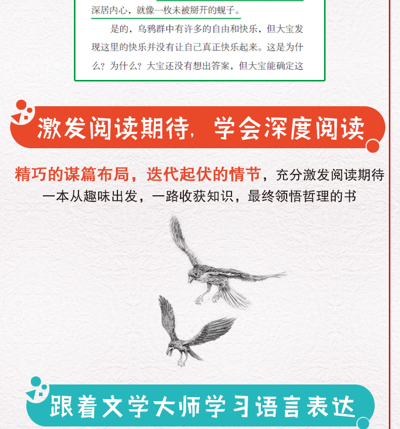 乌鸦开门金曾豪著现实的动物世界和奇幻的少年之旅相结合的长篇小说著名动物小说作家金曾豪的原创力作8-14岁儿童文学书籍动物小说