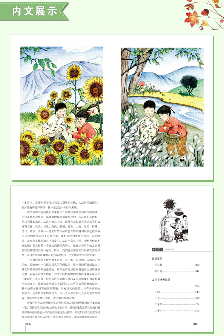四年级必读经典书目全套4册 青铜葵花 小英雄雨来 宝葫芦的秘密张天翼和曹文轩管桦老师推荐小学生课外阅读书籍正版下册原著完整版