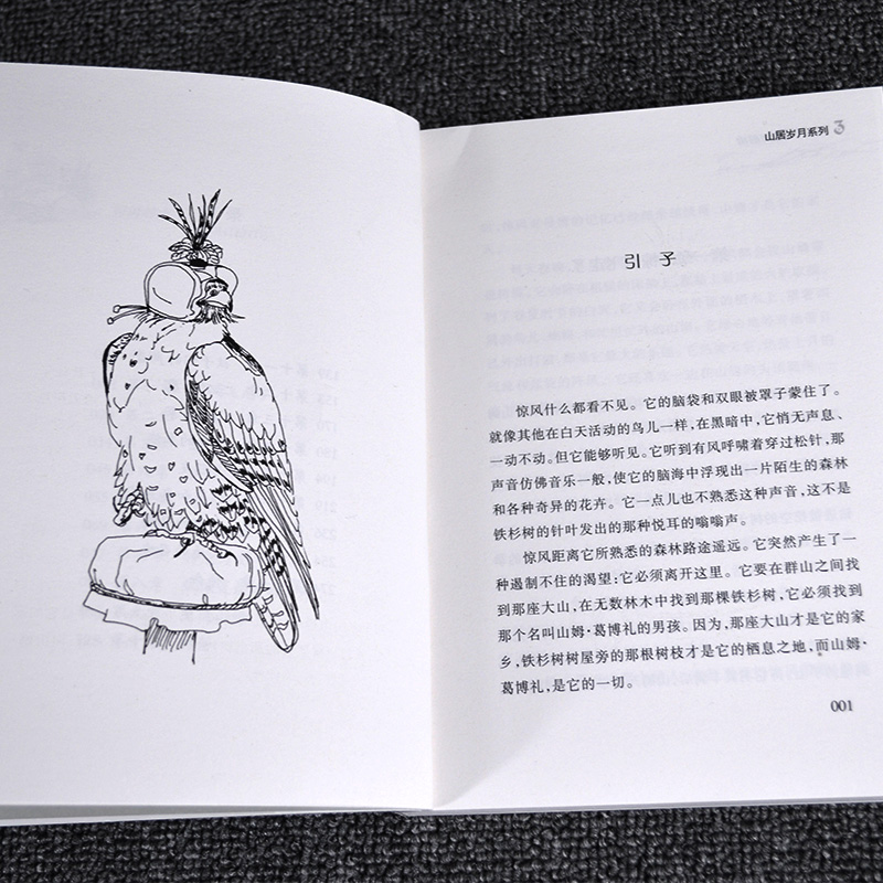 正版纽伯瑞儿童文学奖山居岁月系列3惊风的山国际安徒生奖提名奖中小学生课外阅读书籍三四五六年级冒险励志小说7-12岁青少年读物