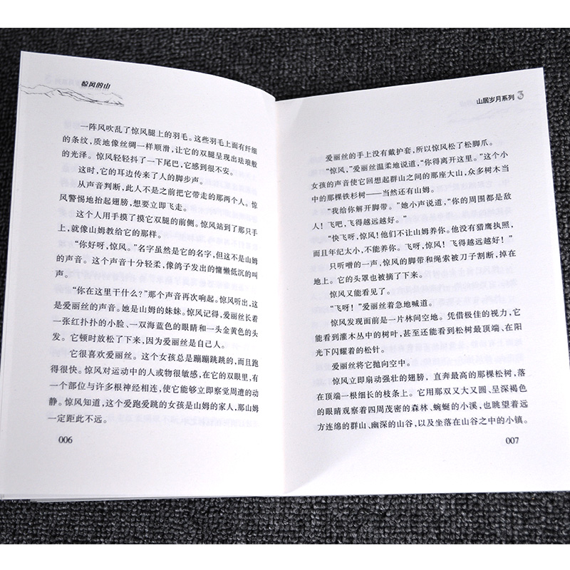 正版纽伯瑞儿童文学奖山居岁月系列3惊风的山国际安徒生奖提名奖中小学生课外阅读书籍三四五六年级冒险励志小说7-12岁青少年读物