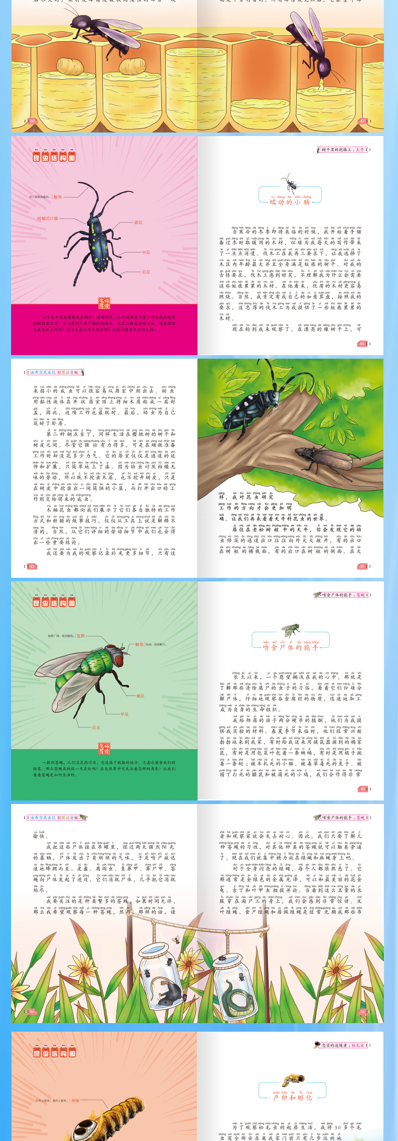 10册彩图注音版法布尔昆虫记全套完整版原著正版小学生一二三年级课外阅读书籍老师推荐必读书目美绘版带拼音儿童动物畅销故事童话