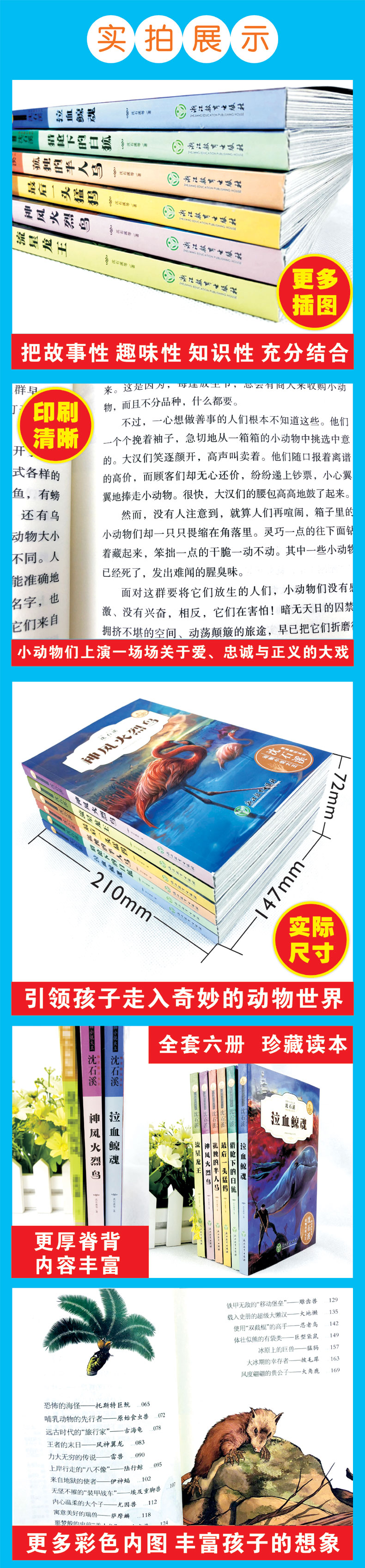 全套6册沈石溪动物小说全集正版中小学生8-10-12-15岁少儿童读物畅销 三四五年级课外书必读六年级小学生课外阅读书籍狼王梦童作者