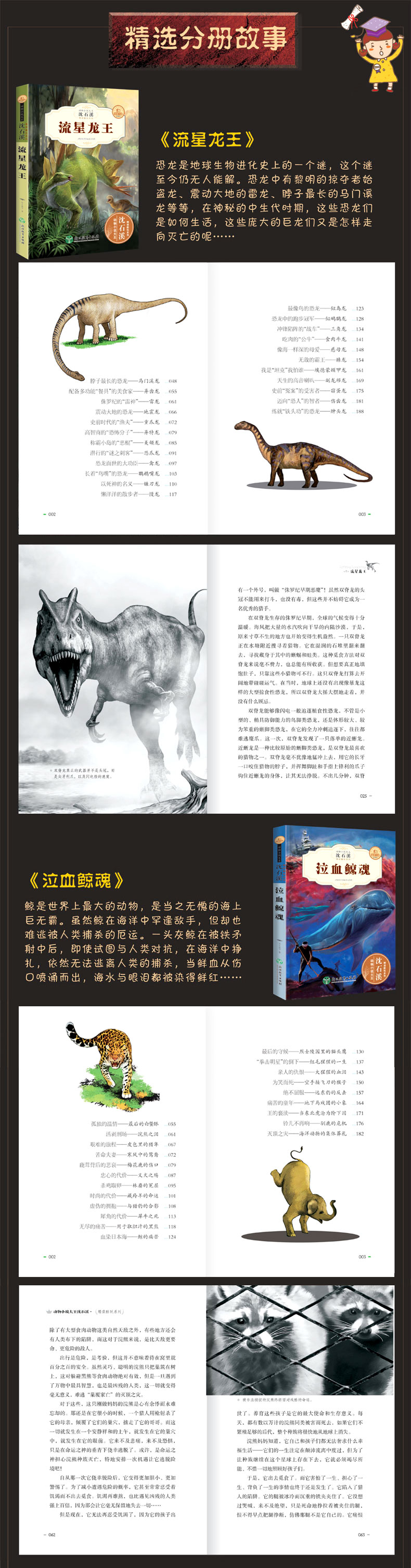 全套6册沈石溪动物小说全集正版中小学生8-10-12-15岁少儿童读物畅销 三四五年级课外书必读六年级小学生课外阅读书籍狼王梦童作者