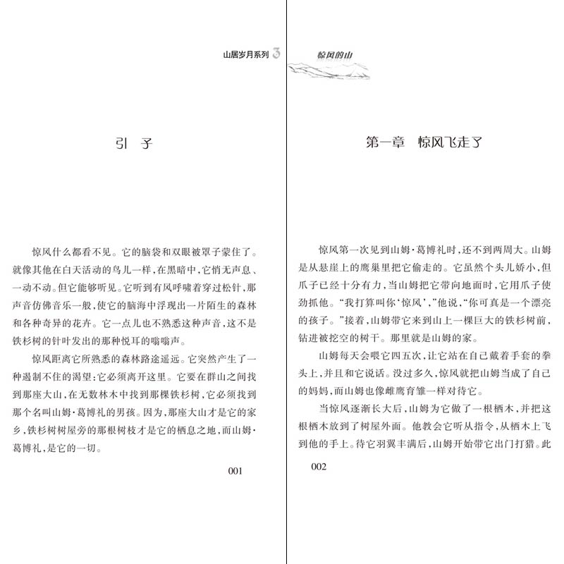 正版纽伯瑞儿童文学奖山居岁月系列3惊风的山国际安徒生奖提名奖中小学生课外阅读书籍三四五六年级冒险励志小说7-12岁青少年读物