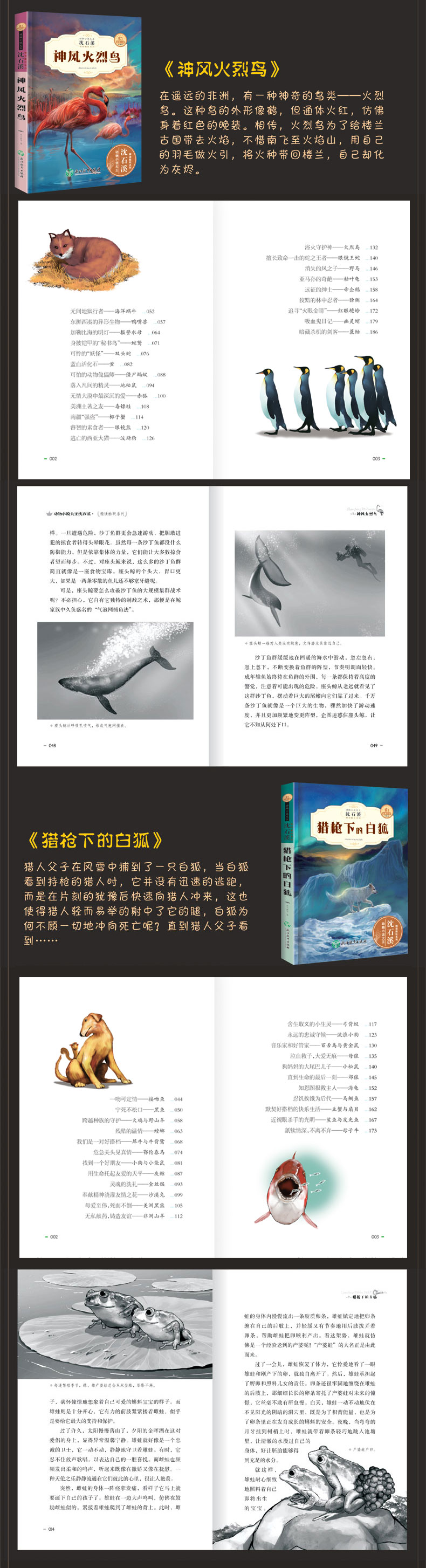全套6册沈石溪动物小说全集正版中小学生8-10-12-15岁少儿童读物畅销 三四五年级课外书必读六年级小学生课外阅读书籍狼王梦童作者