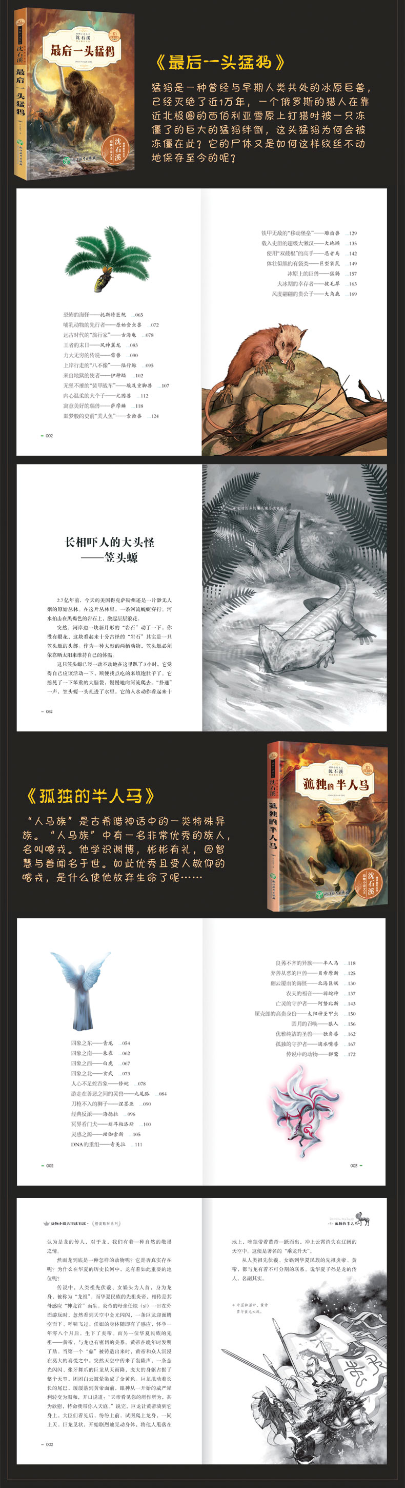全套6册沈石溪动物小说全集正版中小学生8-10-12-15岁少儿童读物畅销 三四五年级课外书必读六年级小学生课外阅读书籍狼王梦童作者
