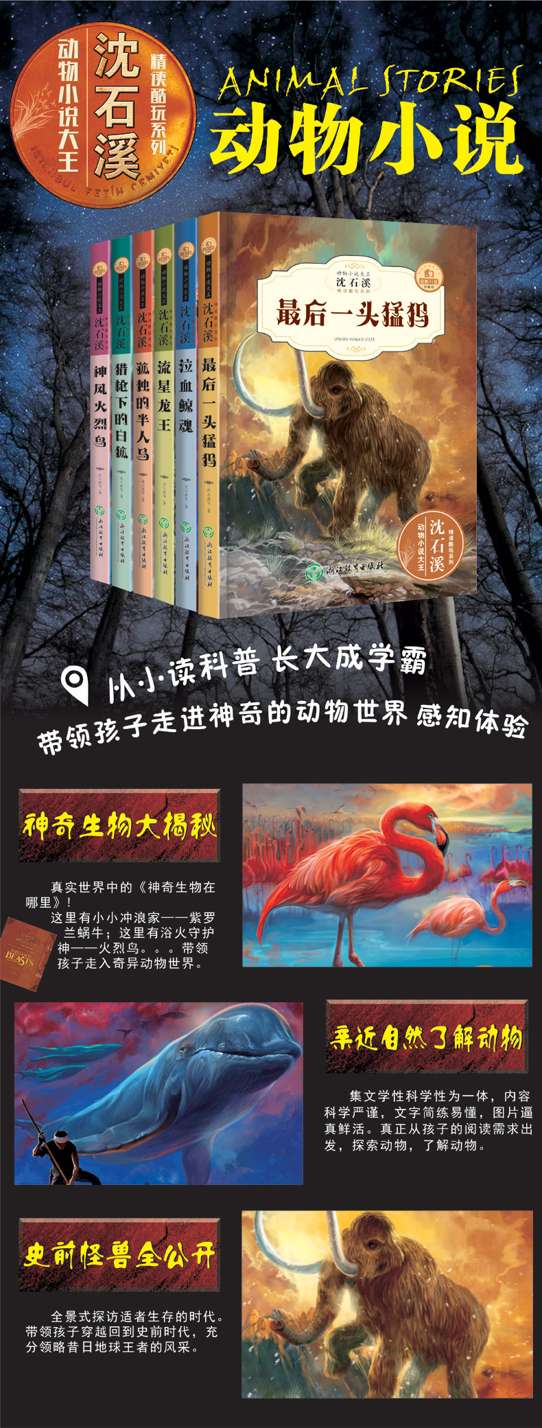 全套6册沈石溪动物小说全集正版中小学生8-10-12-15岁少儿童读物畅销 三四五年级课外书必读六年级小学生课外阅读书籍狼王梦童作者