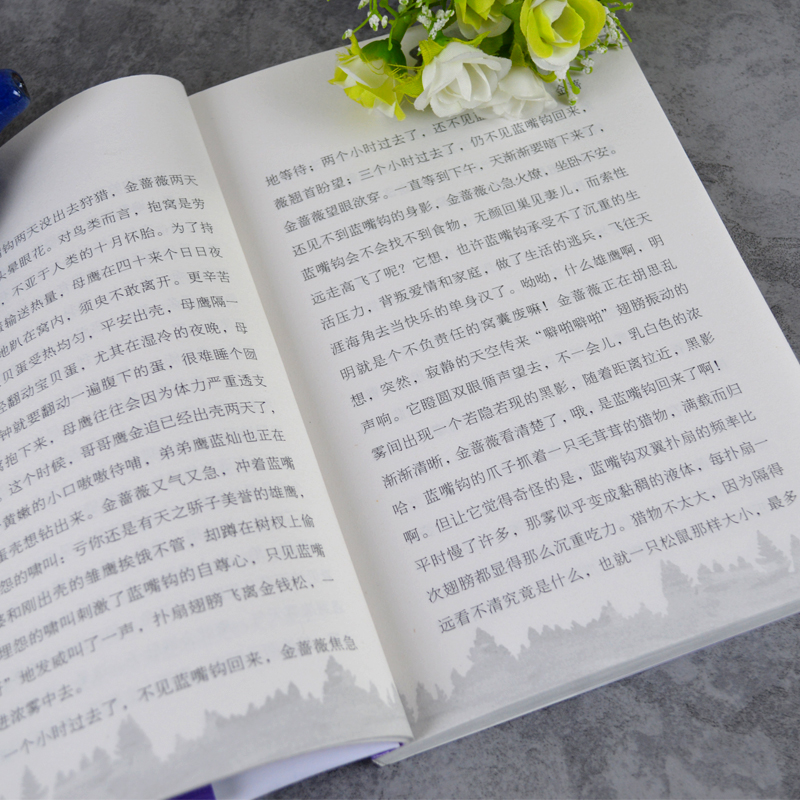 包邮新沈石溪动物小说单本系列野猪囚犯小学生课外书3-6年级书籍老师推荐阅读畅销儿童文学书籍9-12岁小说中国动物小说大王