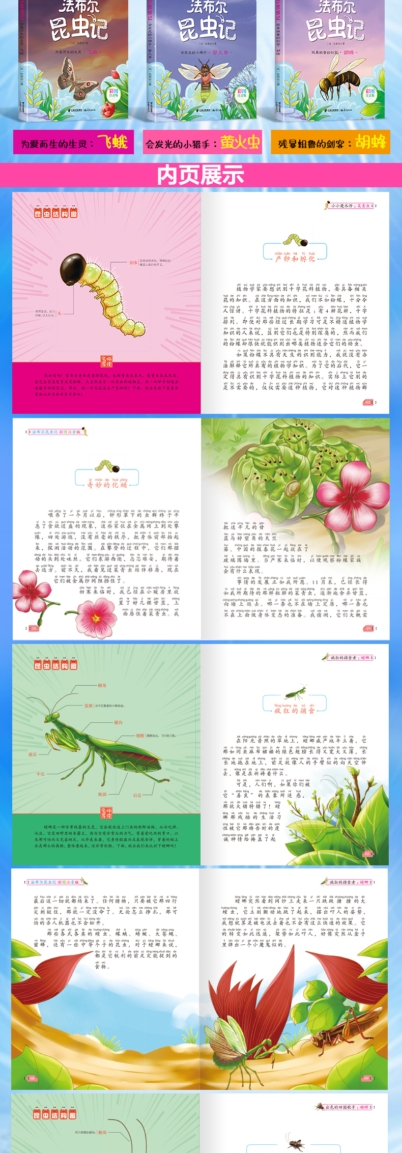 10册彩图注音版法布尔昆虫记全套完整版原著正版小学生一二三年级课外阅读书籍老师推荐必读书目美绘版带拼音儿童动物畅销故事童话
