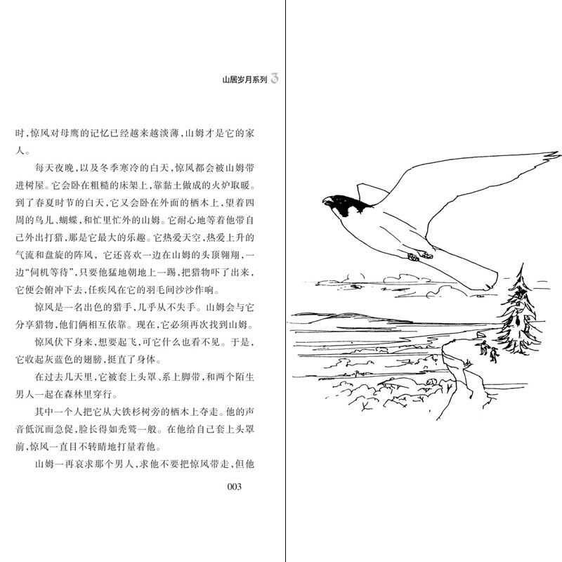 正版纽伯瑞儿童文学奖山居岁月系列3惊风的山国际安徒生奖提名奖中小学生课外阅读书籍三四五六年级冒险励志小说7-12岁青少年读物