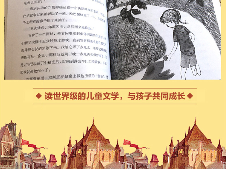 长青藤国际大奖小说书系第4辑 明天会有好运气 美国国家图书奖金奖 9-12-15岁中小学生课外阅读书籍 青少年儿童校园成长文学故事书