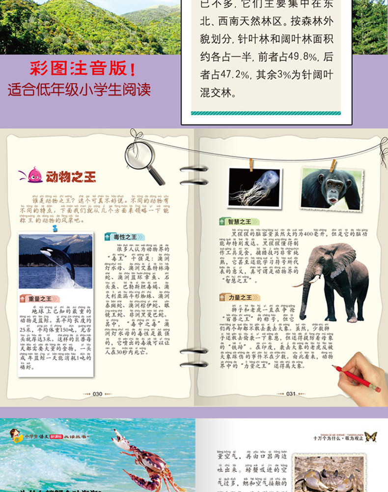 十万个为什么(叹为观止篇) 彩图注音版 班主任推荐小学生必读丛书 小书虫阅读系列 儿童科普百科书籍