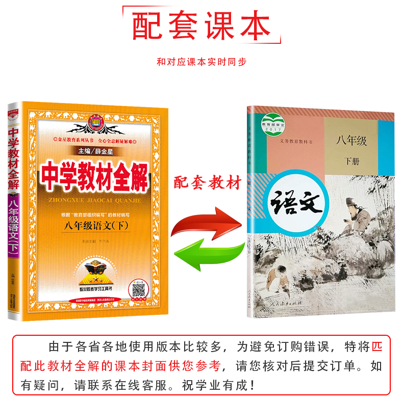 2020新版中学教材全解8八年级下册语文全解 薛金星人教版教辅书8八年级下册语文教材全解初二下册语文全解初中语文辅导