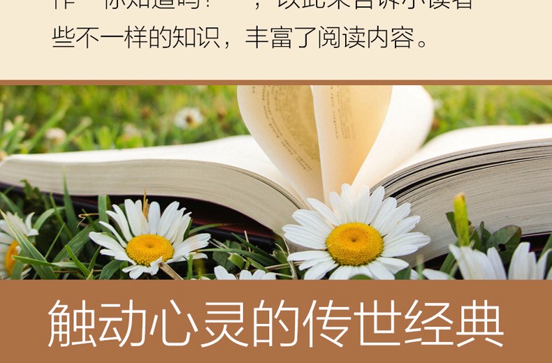 正版 百家姓书正版注音版彩图原著包邮小学生一二三年级课外书阅读经典名著读本班主任推荐读物6-8-10岁必读儿童文学童话故事书籍
