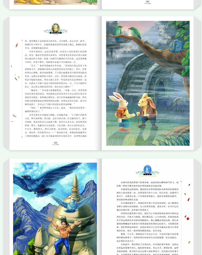国际大奖儿童文学小说全套40册 中国儿童文学小学生课外阅读书籍3-6年级小学四五六年级课外书必读名著 父与子全集 柳林风声正版书