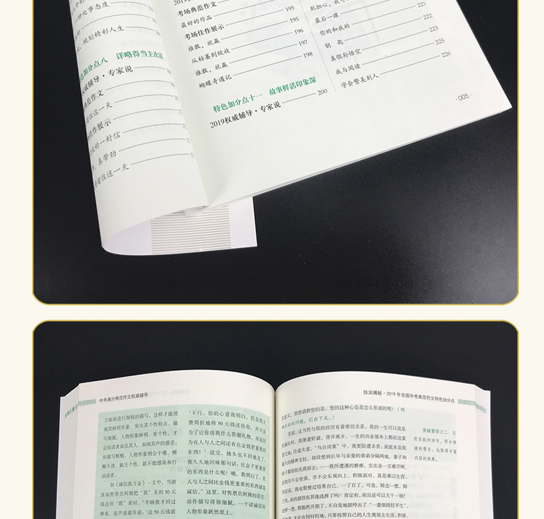 2020新版中考满分典范作文中考备考初中生作文素材大全中学生获奖作文中考满分作文优秀作文大全初一初二初三七八九年级作文辅导书