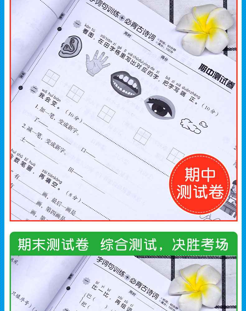 小帮手专项同步卷：字词句训练+必背古诗词 语文 1上 开心教育 广东人民出版社