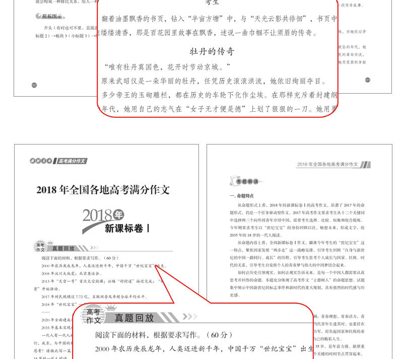正版  最新五年高考满分作文 五年高考满分作文大全高中生作文素材大全素材热点驱动高中生作文书