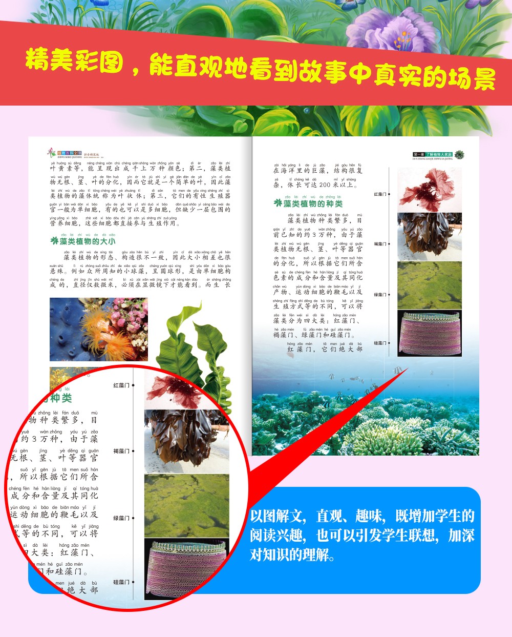 植物百科 全书彩图拼音精装版经典小学生一二三年级课外少儿文学书库植物百科探索之物世界的科普经典书籍正版现货