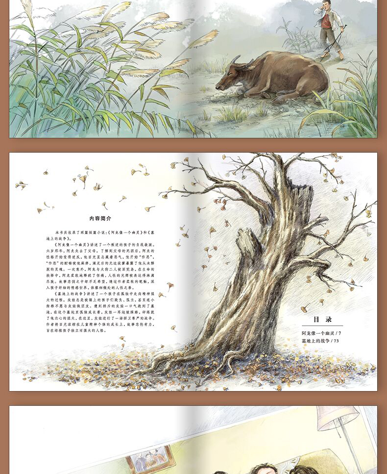 正版曹文轩画本全5册曹文轩系列儿童文学的书正版包邮纯美小说文集 小学生四五六年级课外阅读书籍必读老师 雪灯笼 一头特别牛的牛