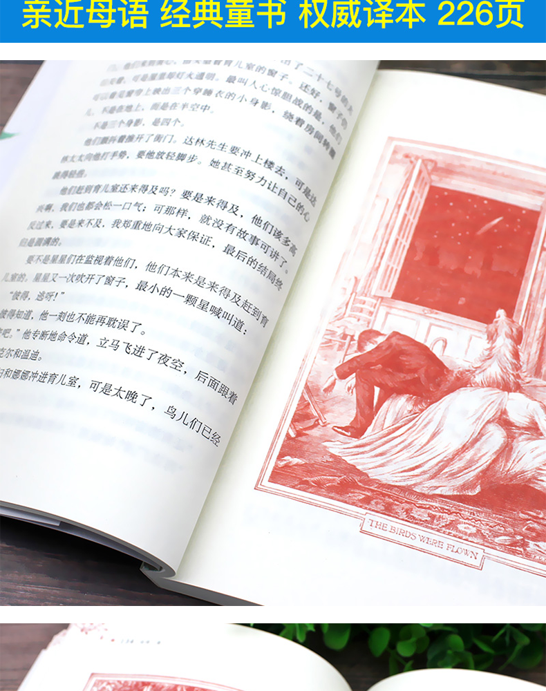正版 彼得·潘 亲近母语经典童书权威译本 三四五六年级小学生课外阅读书籍9-11-12岁儿童外国文学故事书广西师范大学出版社彼得潘