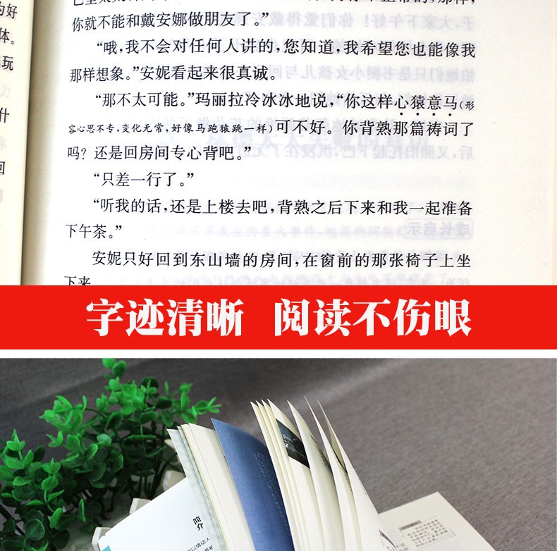 正版包邮六年级课外必读 绿山墙的安妮 海蒂 8-12岁四五六年级必读的老师推荐经典儿童读物书籍6年级课外书小学生青少年版课外书