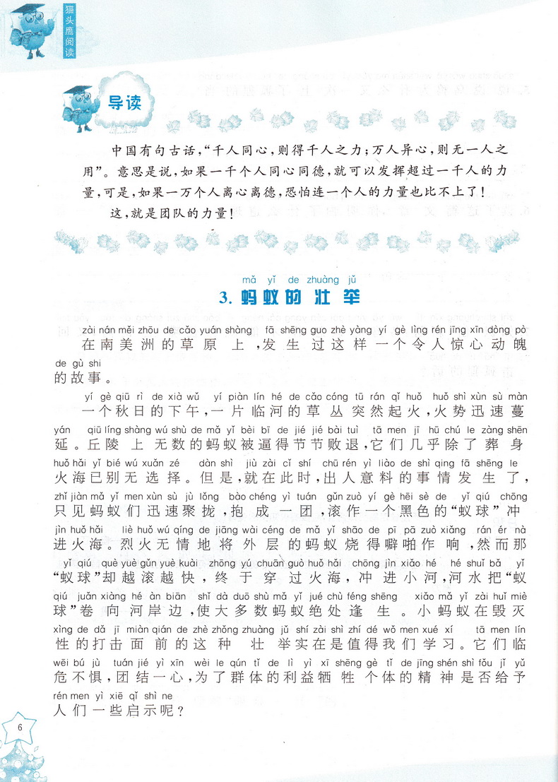 猫头鹰阅读 二年级上下册课标通用版 小学生2年级语文课外现代文阅读指导训练 班主任推荐课本学习阅读作文技巧练习册教辅资料书
