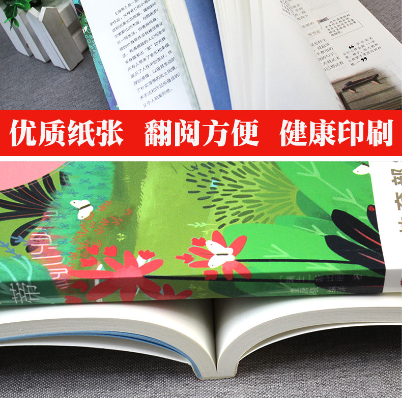 正版包邮六年级课外必读 绿山墙的安妮 海蒂 8-12岁四五六年级必读的老师推荐经典儿童读物书籍6年级课外书小学生青少年版课外书