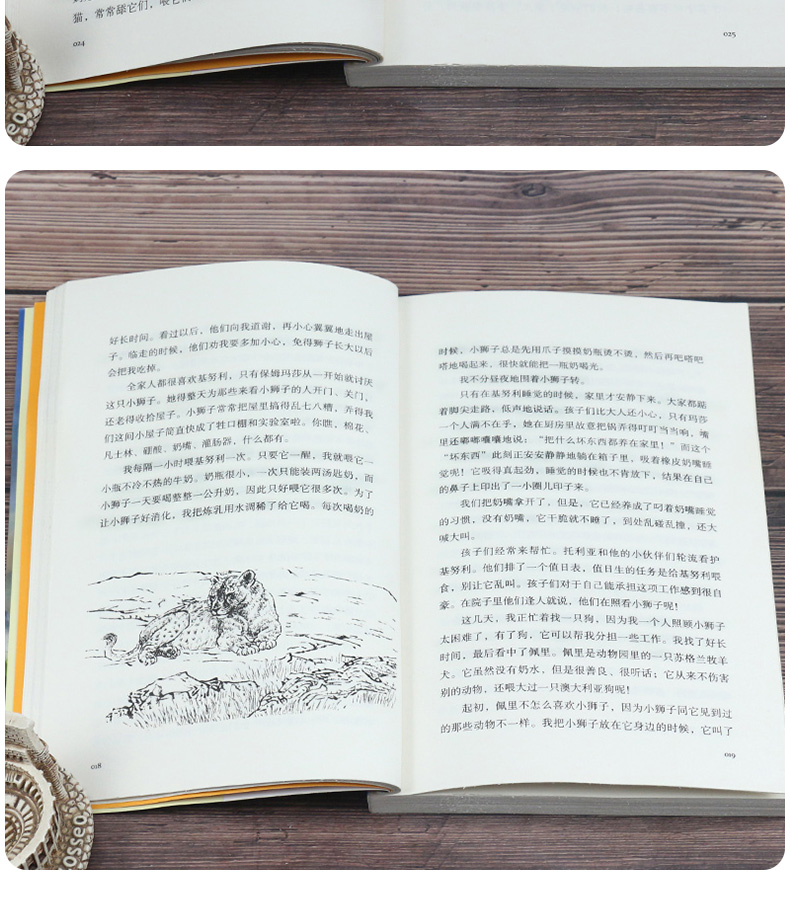 正版包邮 孤岛苍狼 中外动物小说升级版 沈石溪动物小说单本7-8-9-12周岁儿童文学三四五六年级小学生课外书籍 安徽少年儿童出版社